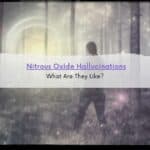 Man with long hair standing in the woods looking into colored portal.